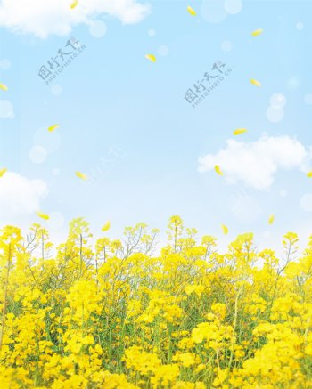 韩式春季春天气息唯美海报背景