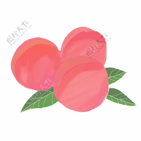 水彩手绘桃子元素可商用