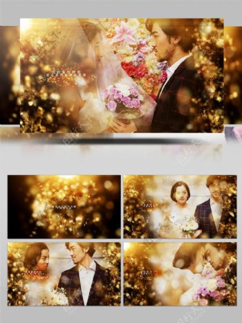 炫美金色粒子光斑婚礼图像展示AE模板