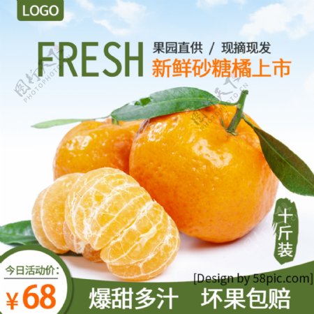 橘子水果桔子主图