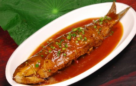 美食炖黄河鲤鱼