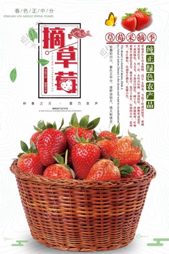 摘草莓海报设计