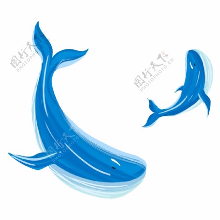 卡通清新蓝色鲸鱼透明素材