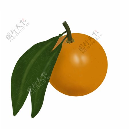 橘子沙糖桔橙子黄色水果元素叶子