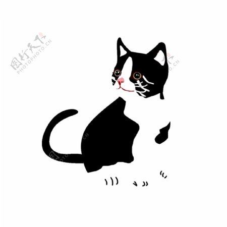 一只黑白花纹的猫设计元素