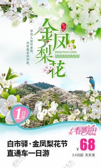 金凤梨花节旅游海报