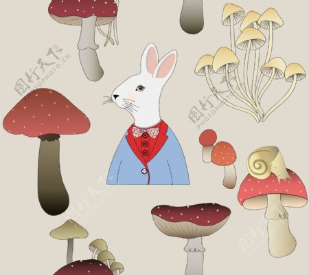 兔子蘑菇组合