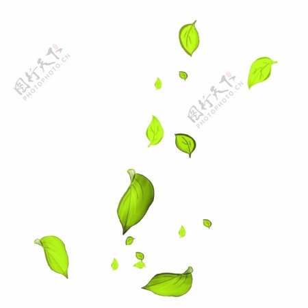 漂浮的绿色叶子插画