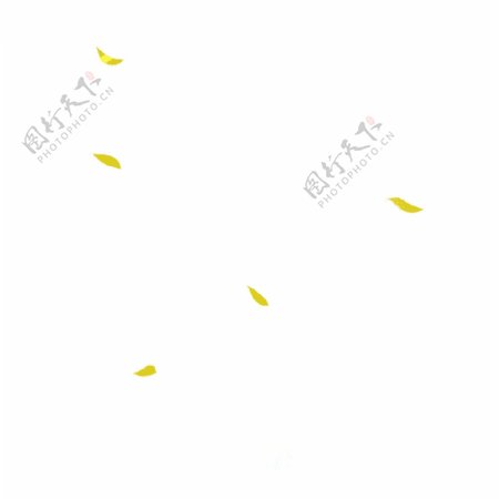 漂浮的黄色花瓣下载