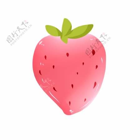 至尊红颜品种水果草莓
