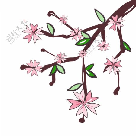 粉色春天樱花插图