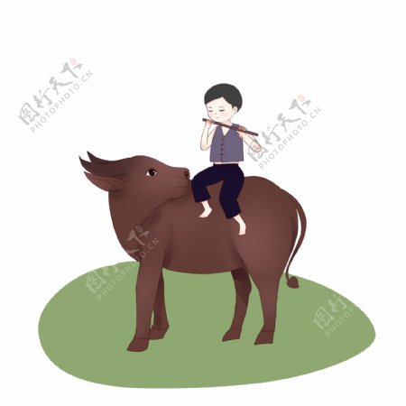 清明节坐在牛背上吹笛子的男孩