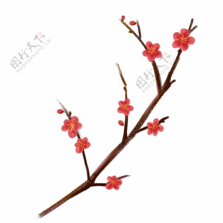鲜艳的红梅花枝插画