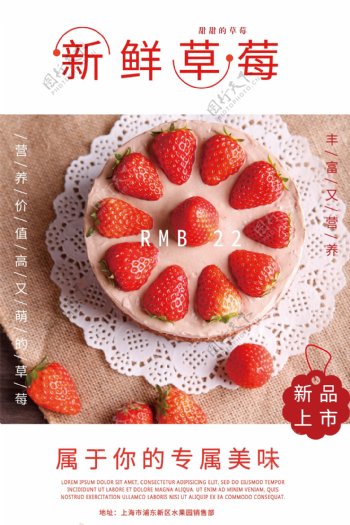 新鲜草莓采摘新品上市海报
