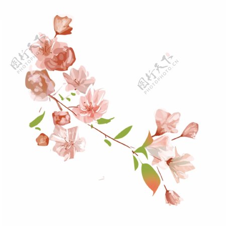 可爱水彩花卉卡通透明素材