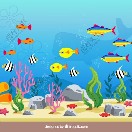 彩色海底鱼类设计