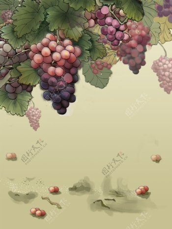 手绘葡萄背景设计