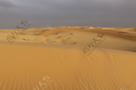 荒芜沙漠景观