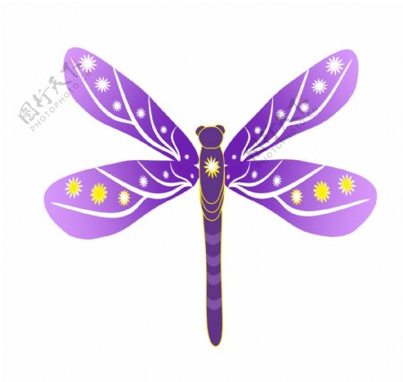 紫色蜻蜓昆虫