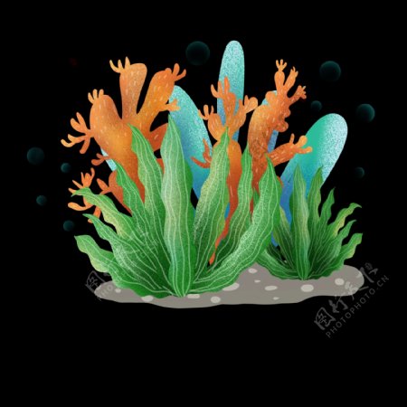 夏日海底珊瑚植物png免抠图