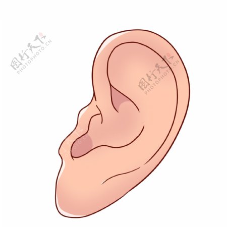 立体耳朵器官插图