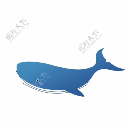 蓝色鲨鱼图案设计