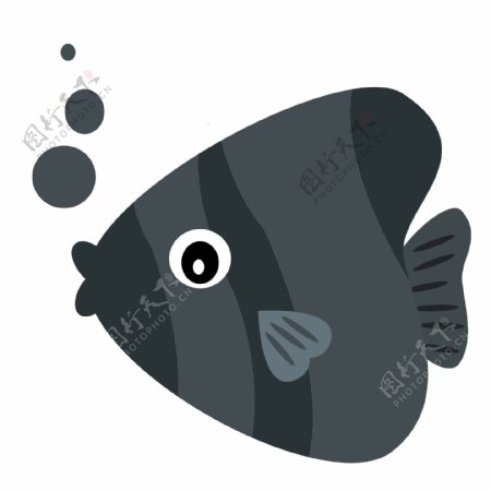 黑色小鱼海洋生物