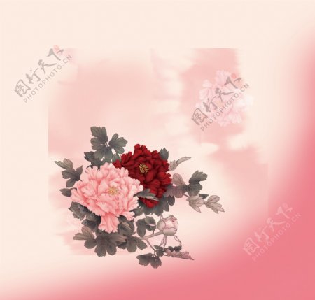 牡丹花国花花卉包装设计