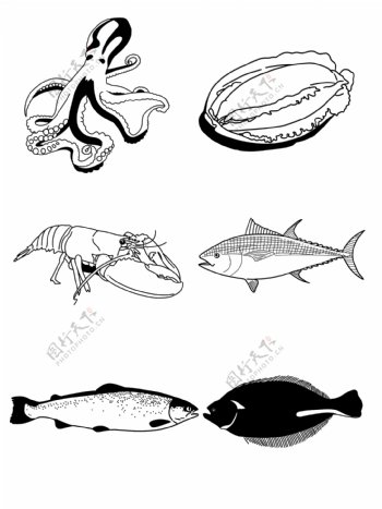 海鲜黑白手绘八爪鱼鲍鱼龙虾三文鱼金枪鱼