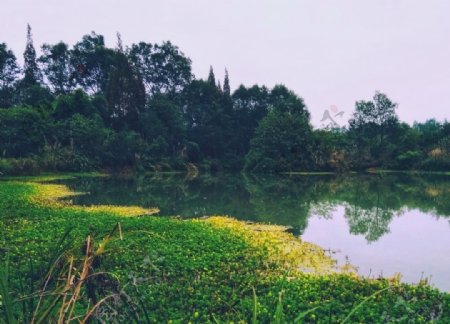 四川旅游崇州桤木河湿地公园