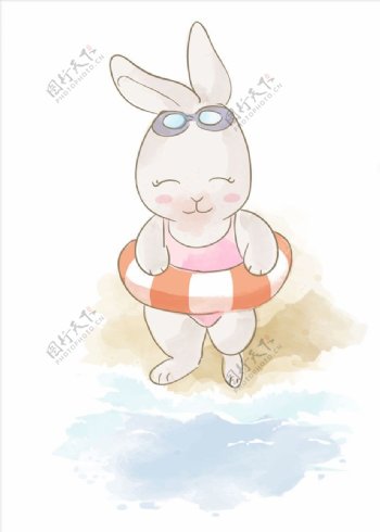 兔子游泳