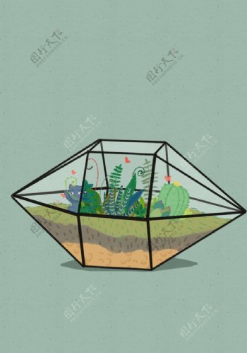 手绘植物插画创意玻璃盆栽