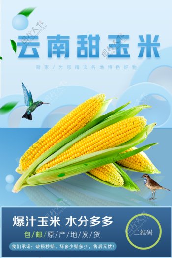 生鲜玉米大促海报