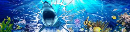 海底世界鲨鱼3D墙绘设计