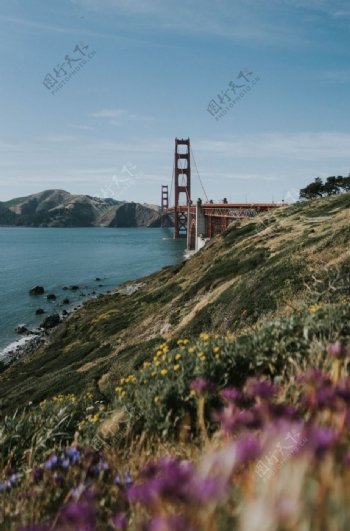 海岸边拍摄旧金山大桥