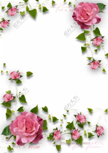 粉色清新玫瑰花花藤边框