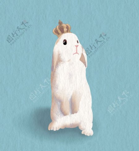 手绘可爱戴皇冠的兔子