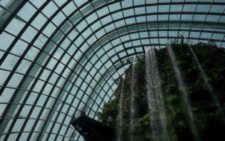 新加坡海滨湾温室植物园