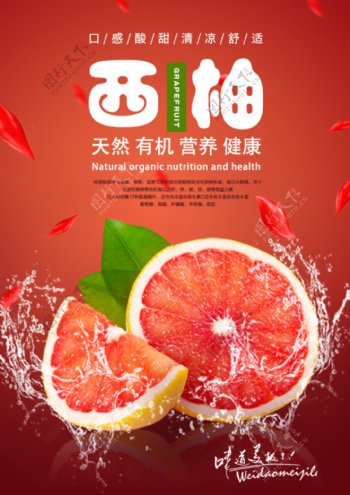西柚水果海报