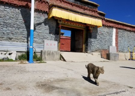 院落一角