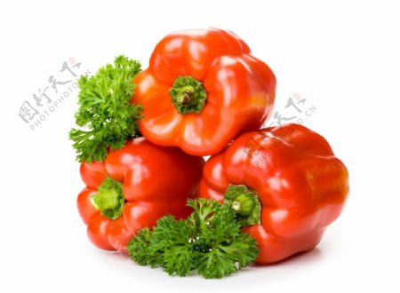 红色菜椒