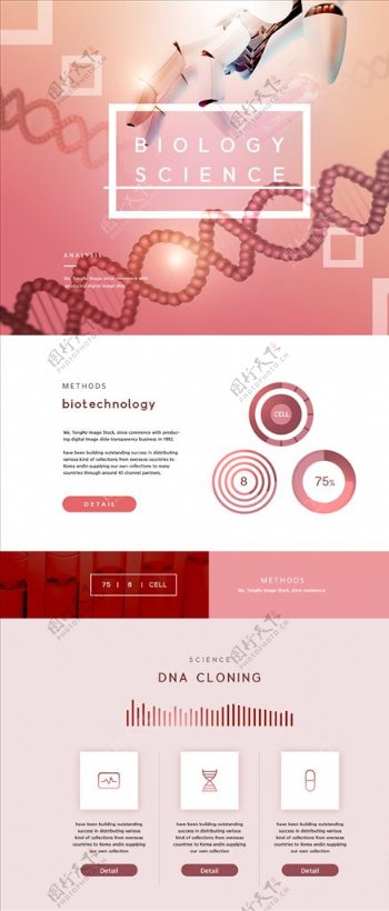 科研医学生物基因网站ui详情页