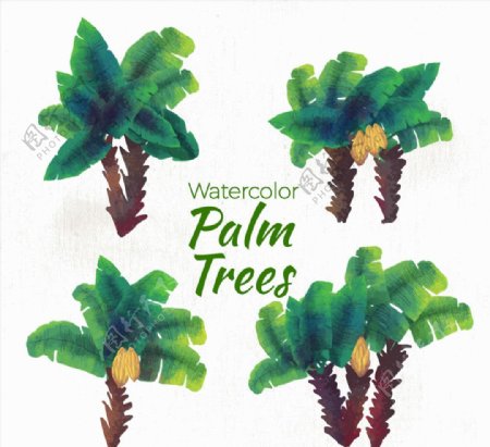 水彩绘绿色棕榈树矢量图