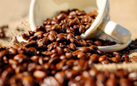 咖啡豆诱人烘焙咖啡杯背景素材