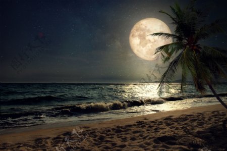 海边月球月亮