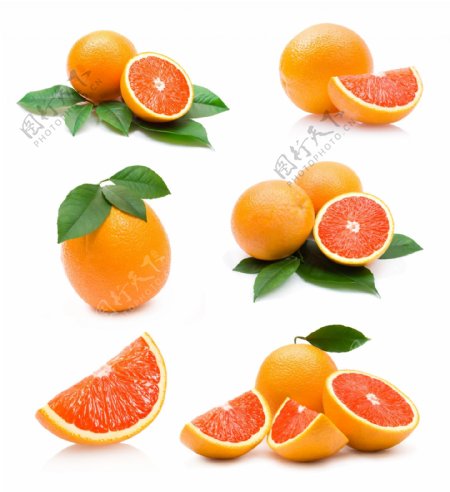 血橙香橙橙子