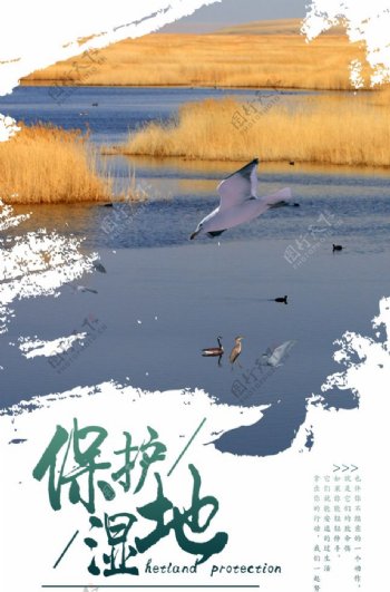 湿地海报