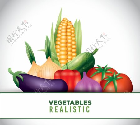 蔬菜主题矢量
