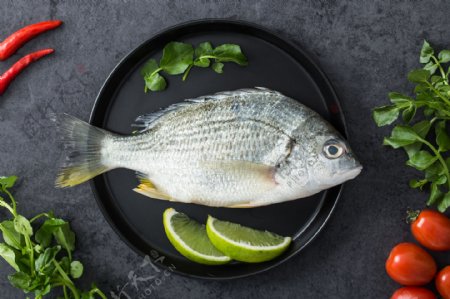 鱼水产盘子食材餐饮背景素材
