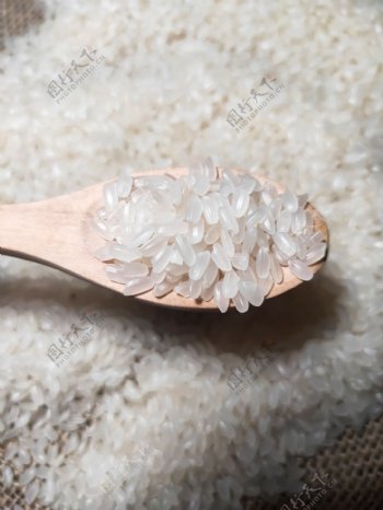 高清大米米粒图